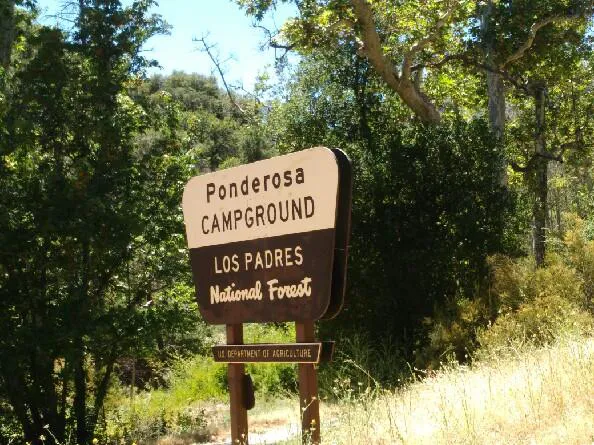 Ponderosa Campground Picture 6