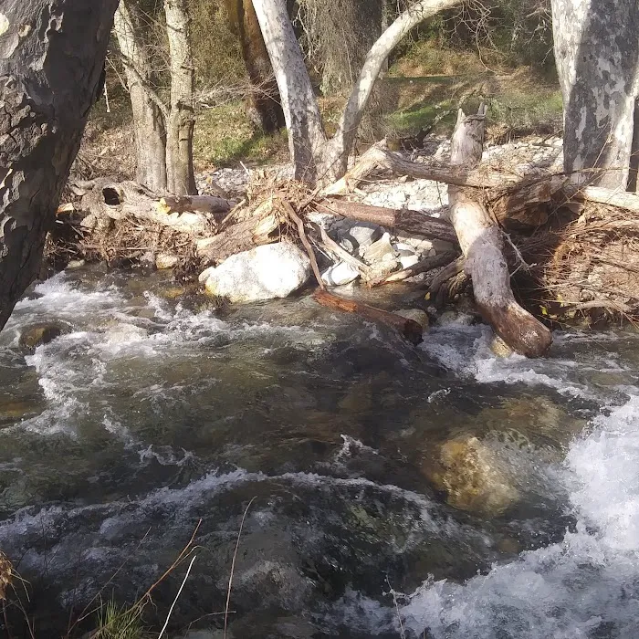 Ponderosa Campground Picture 1