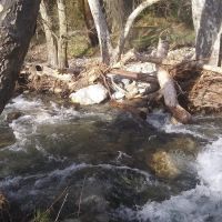 Ponderosa Campground ico
