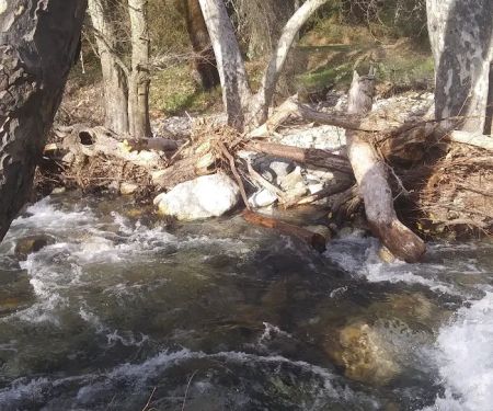 Ponderosa Campground