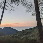 Lions Den Campground