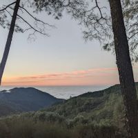 Lions Den Campground ico