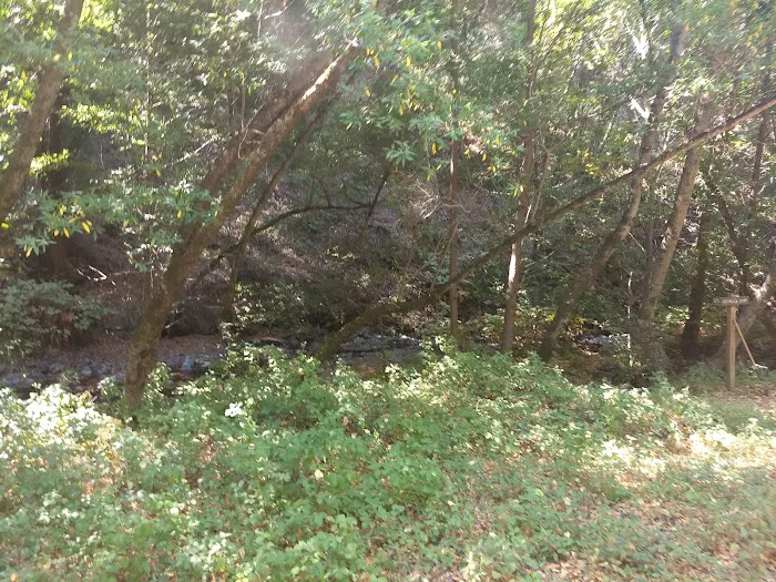 Estrella Campground Picture 9