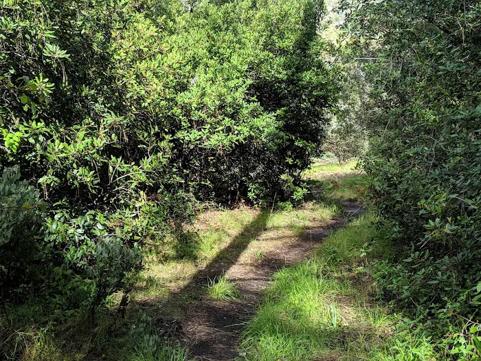 Estrella Campground Picture 5