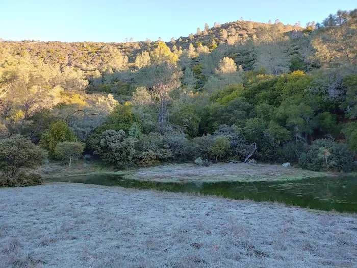 Turkey Springs Campground Picture 4