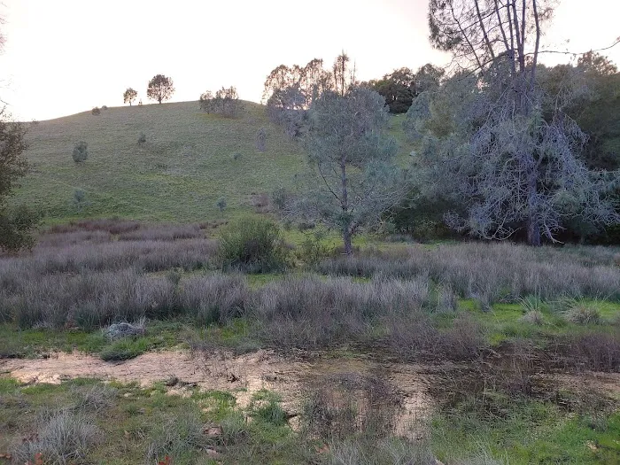 Turkey Springs Campground Picture 2