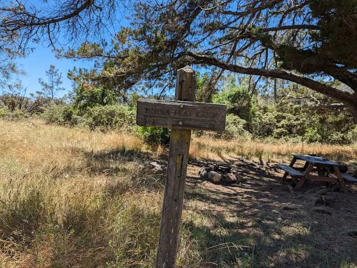 Dutra Flat Campground Picture 4