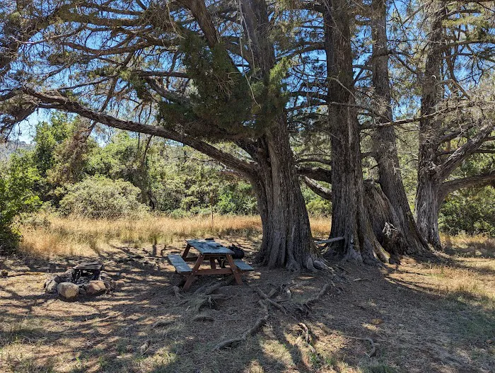 Dutra Flat Campground Picture 5