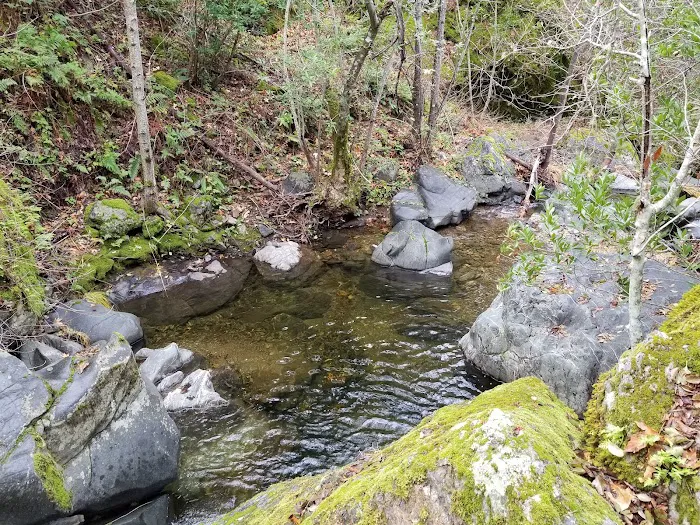 Alder Creek Camp Picture 3