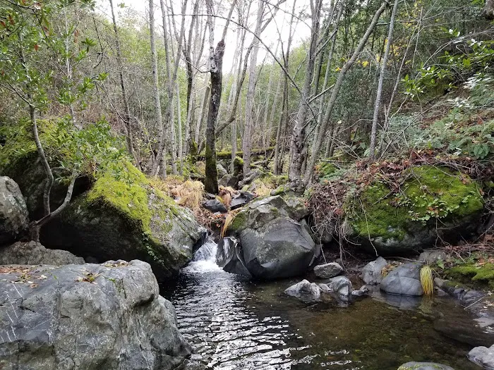 Alder Creek Camp Picture 7