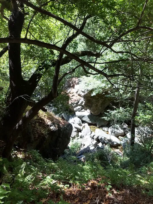 Spruce Campground Picture 7