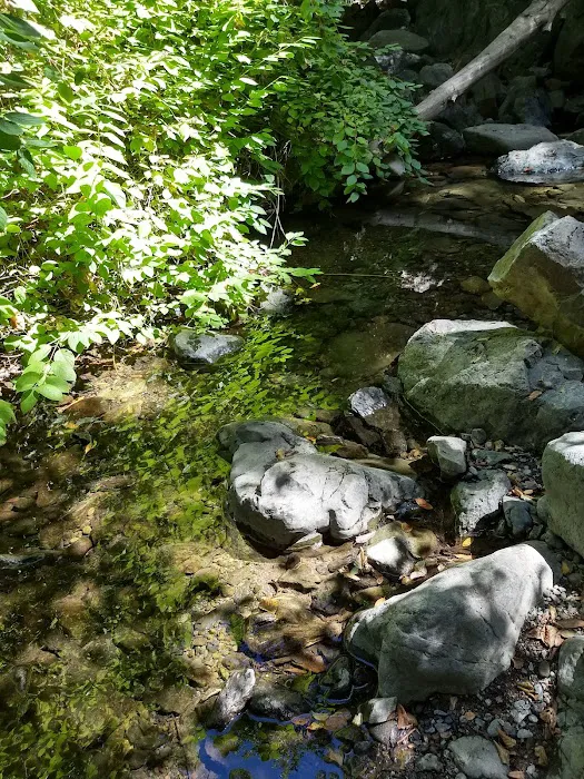 Spruce Campground Picture 6