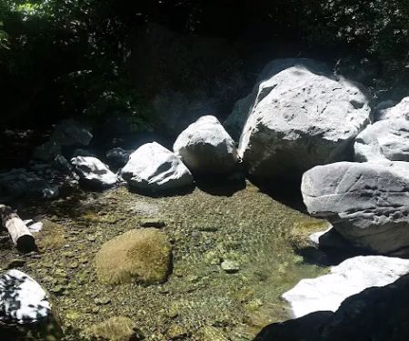 Spruce Campground