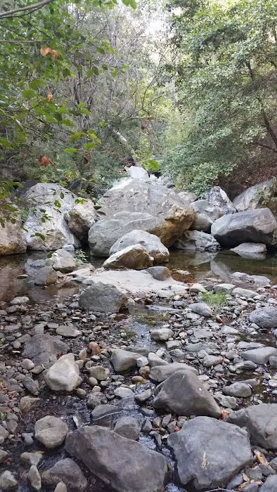Spruce Campground Picture 4