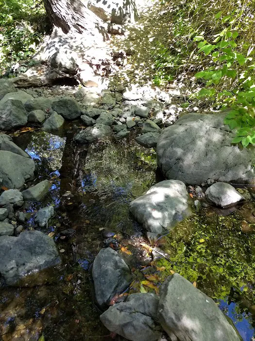 Spruce Campground Picture 10