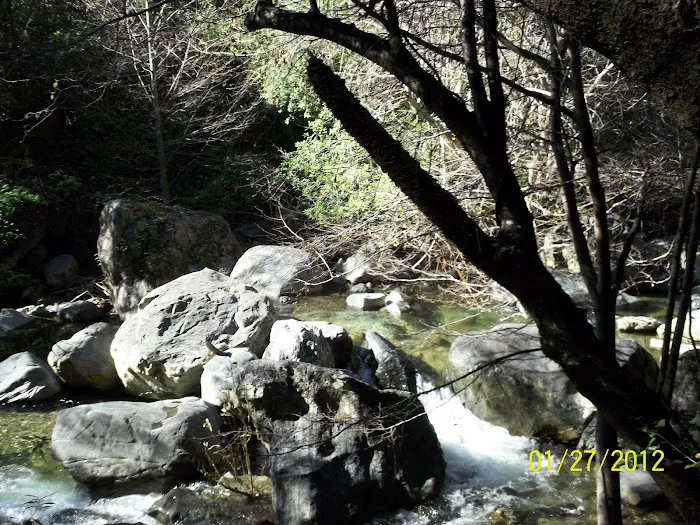 Spruce Campground Picture 9
