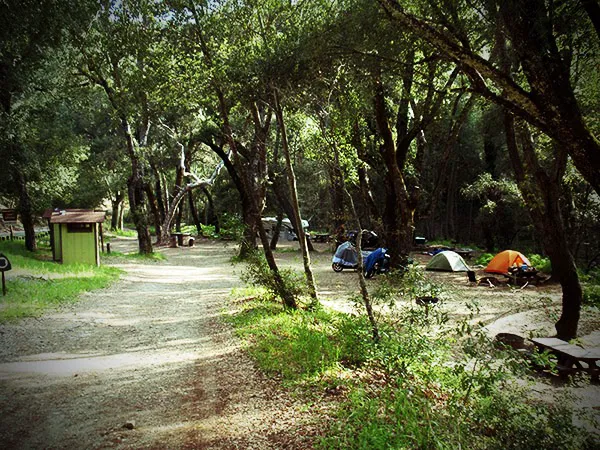 Nacimiento Campground Picture 6