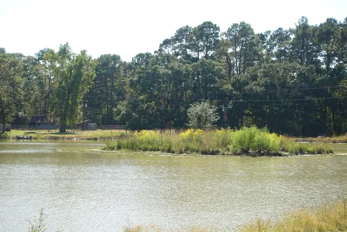 Cajun Campground Picture 8