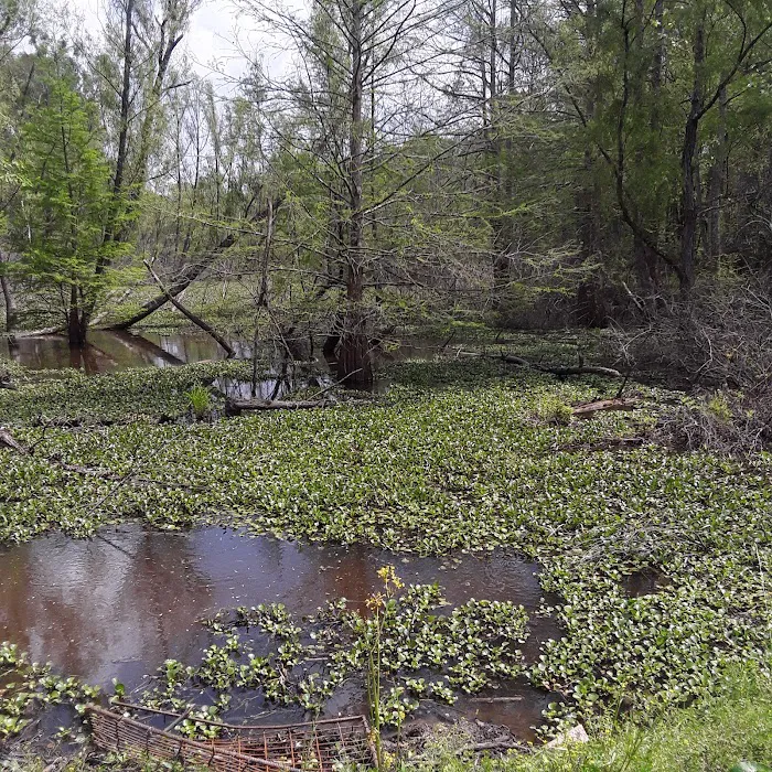 Sutton Lake Campground Picture 4