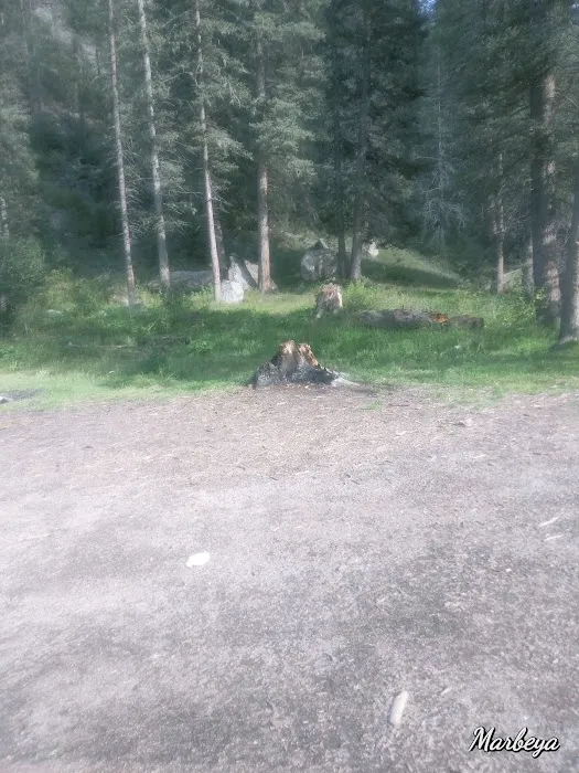 Calaveras Campground Picture 8