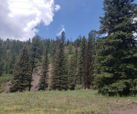 Calaveras Campground