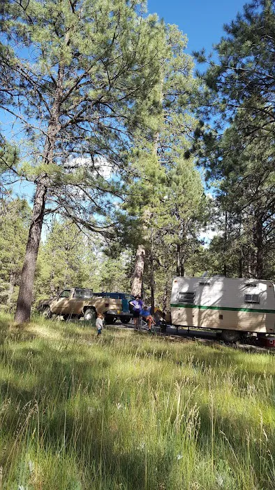 Rio De Las Vacas Campground Picture 10