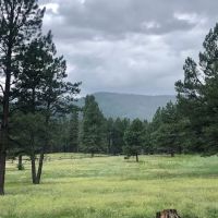 Rio De Las Vacas Campground ico