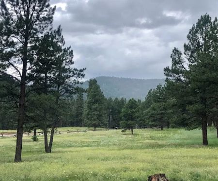 Rio De Las Vacas Campground