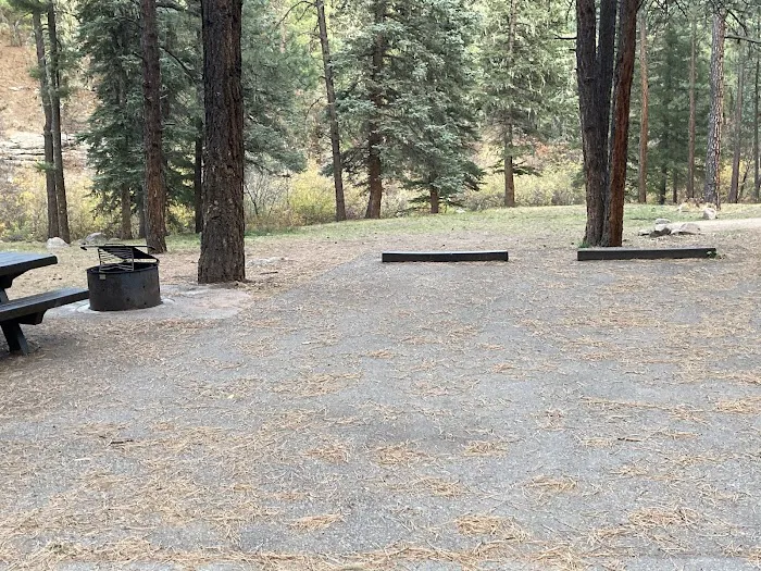 Rio De Las Vacas Campground Picture 4