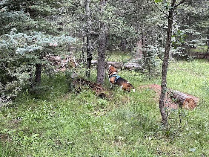 Clear Creek Campground Picture 3