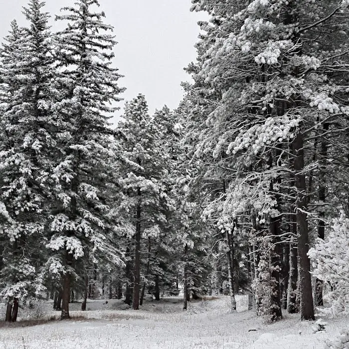 Clear Creek Campground Picture 5