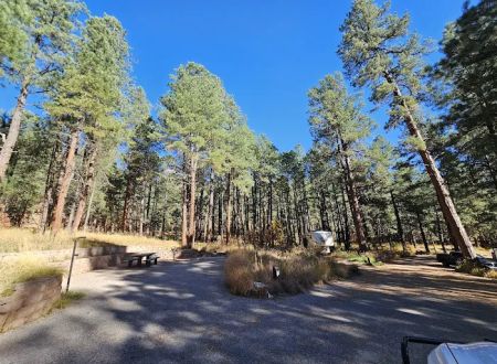San Antonio Campground
