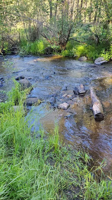 San Antonio Campground Picture 3