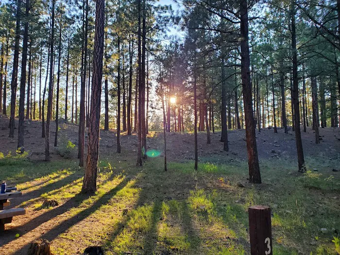 Redondo Campground Picture 5