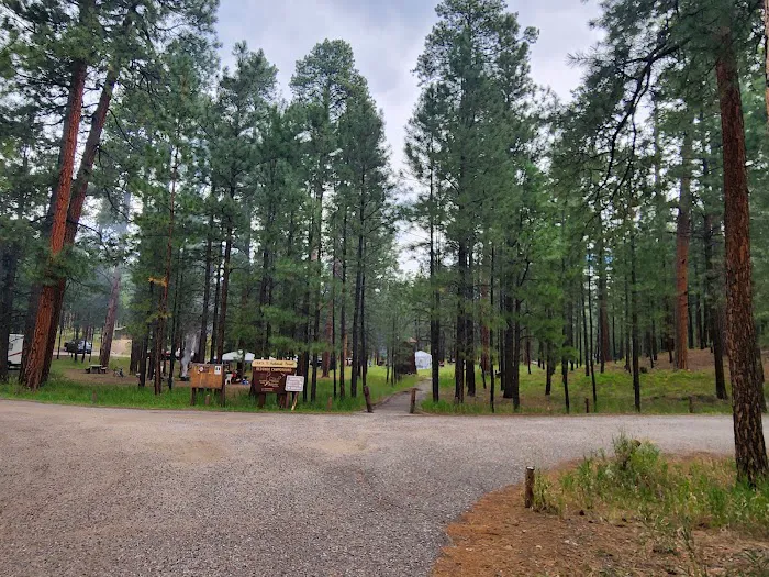 Redondo Campground Picture 8