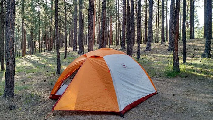 Redondo Campground Picture 1