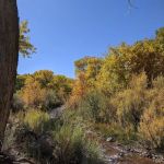Rincon Fishing Site (recgovnpsdata)