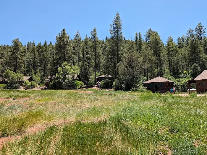 YMCA Camp Shaver Picture 6