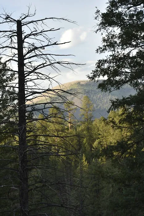 Jemez Falls Campgrounds Picture 6