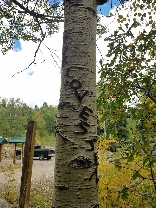 Camp May Picture 6