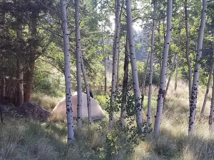 Camp May Picture 9