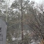 Hyde Memorial State Park RV Campground