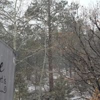 Hyde Memorial State Park RV Campground ico