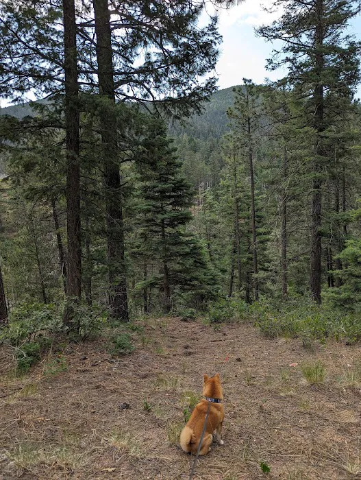 Hyde Memorial State Park RV Campground Picture 9