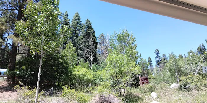 Hyde Memorial State Park RV Campground Picture 6