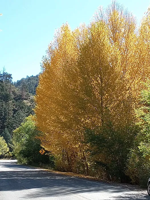Black Canyon Campground Picture 7