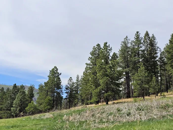 Links Tract Campground (recgovnpsdata) Picture 6