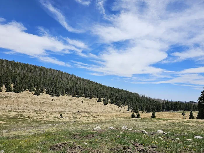 Links Tract Campground (recgovnpsdata) Picture 8