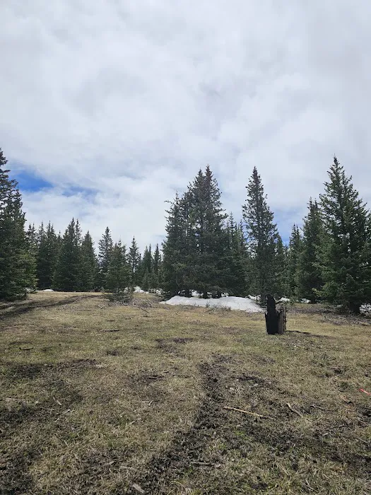 Links Tract Campground (recgovnpsdata) Picture 9