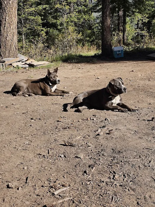 Links Tract Campground (recgovnpsdata) Picture 10